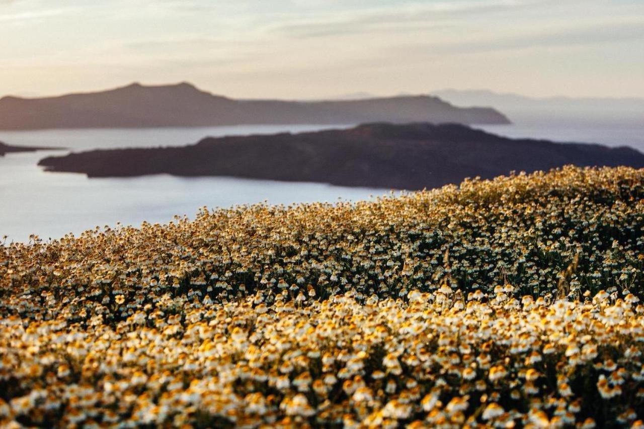 Arcana Santorini Villas, An Authentic Cycladic Experience Akrotírion エクステリア 写真